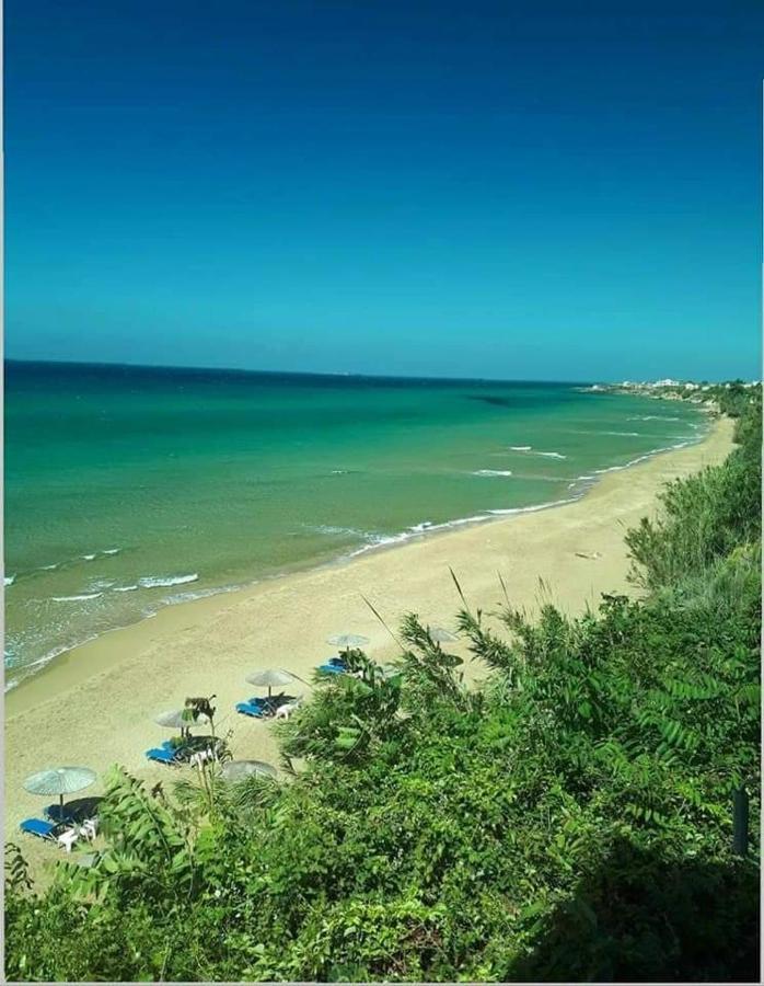 Harmony Corfu Apartments & Studios Экстерьер фото