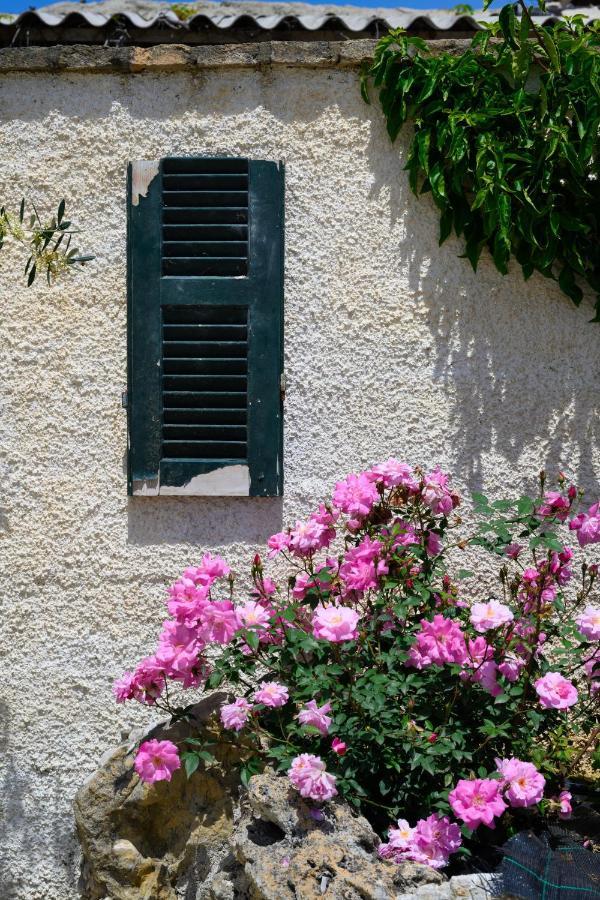 Harmony Corfu Apartments & Studios Экстерьер фото