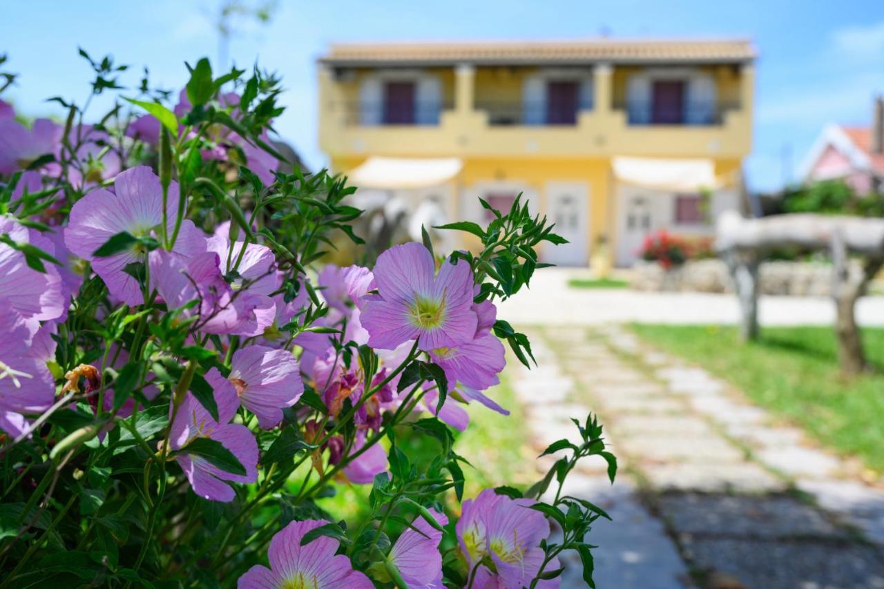 Harmony Corfu Apartments & Studios Экстерьер фото